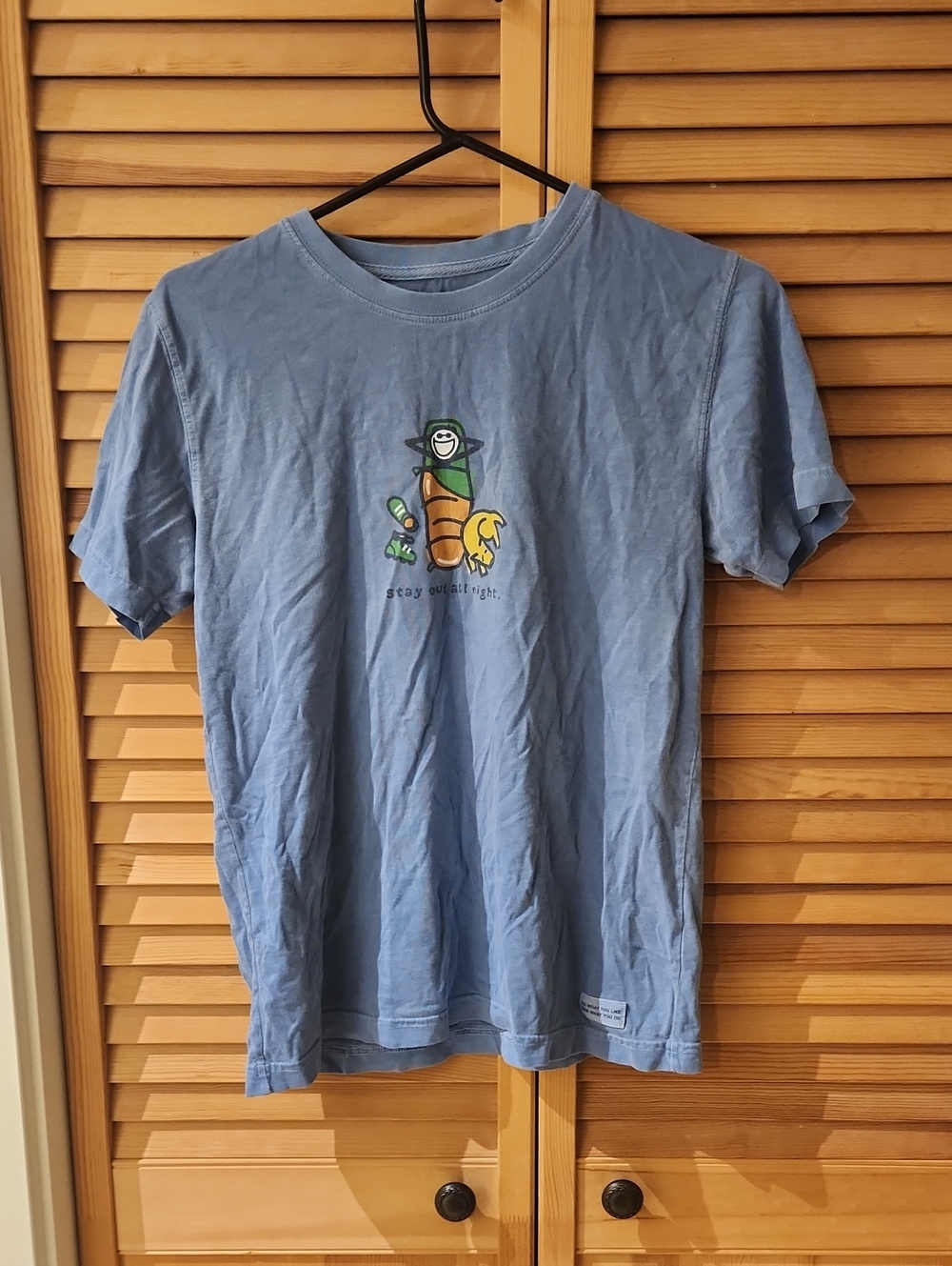 Life Is Good Tee Shirt Boys XL Blue Camping Dog